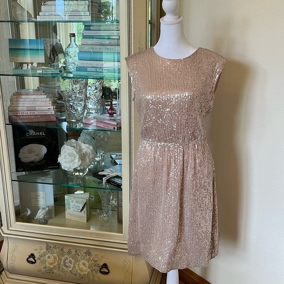 NWOT J. Crew Pale Pink Sequin Dress Size 2 - Picture 1 of 6